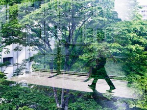 Biophilia is described as “an innate connection between humans and nature”. Research has shown increasing natural elements in workspaces can have a significant impact on output